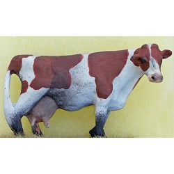 NORMAN COW