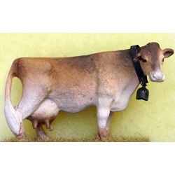 LIMOUSIN COW